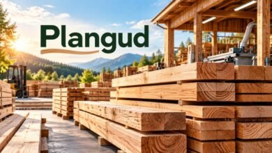 Plangud